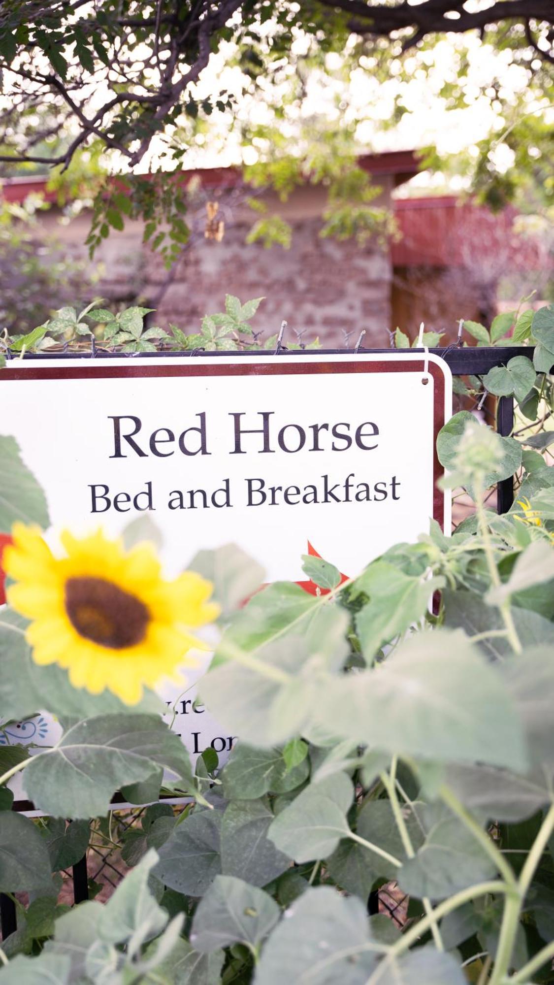 Red Horse Bed And Breakfast Albuquerque Exterior photo