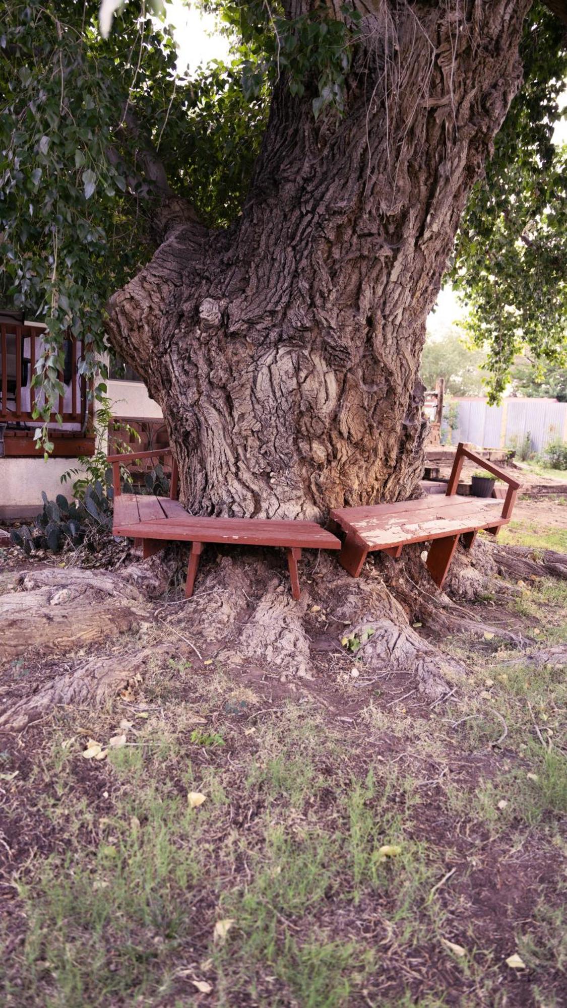 Red Horse Bed And Breakfast Albuquerque Exterior photo